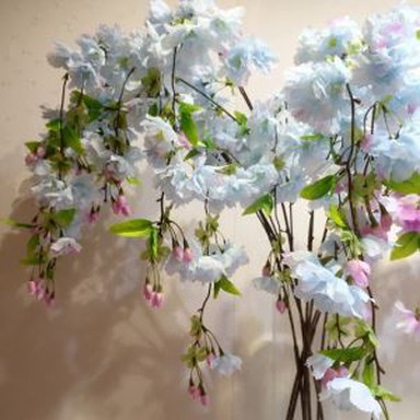 Artificiale Drooping Sakura Flowers